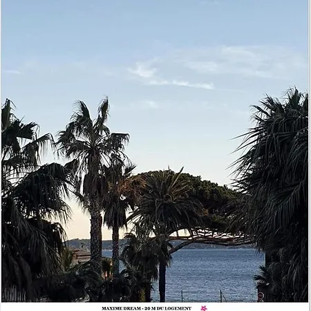 Maxime Dream . Sainte-Maxime