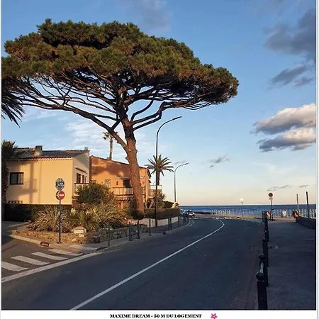 Maxime Dream . Sainte-Maxime